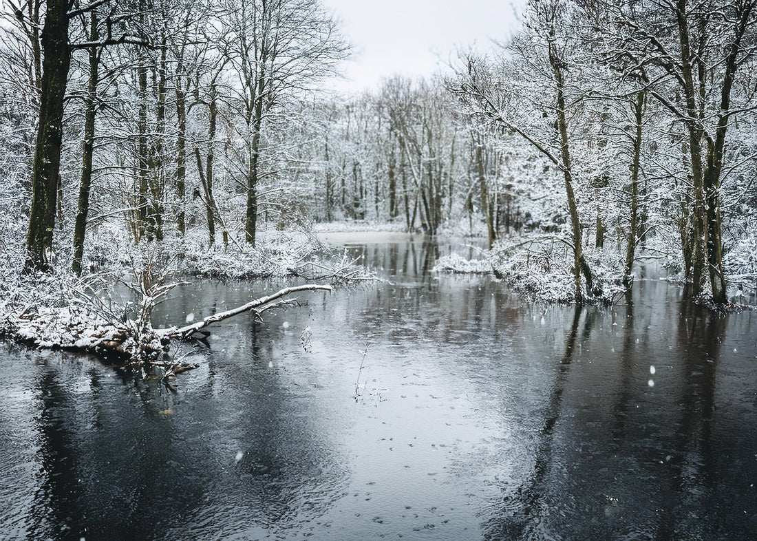 Breaking Ice and Chasing Ducks